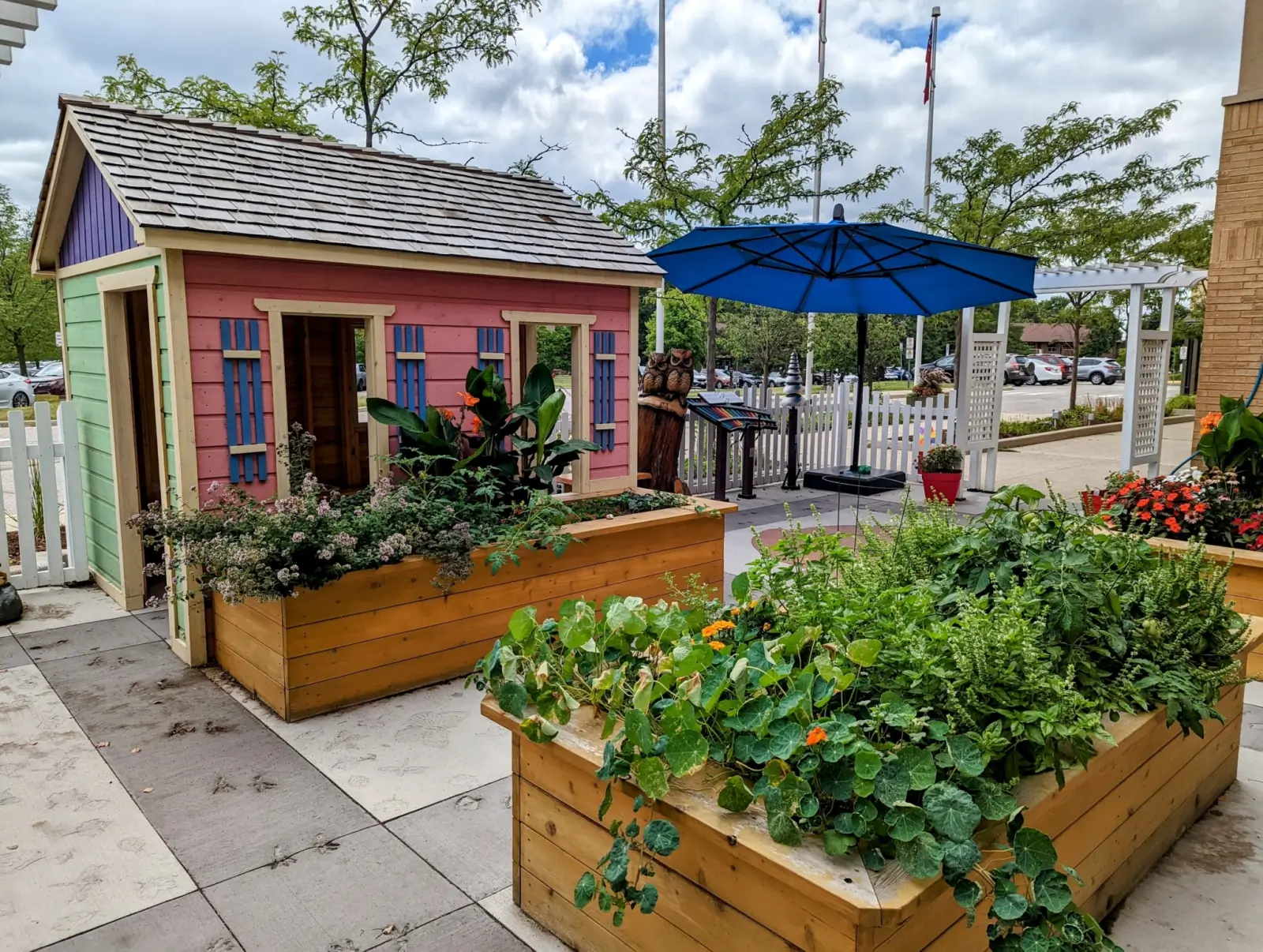 outdoor raised garden with a colourful shed