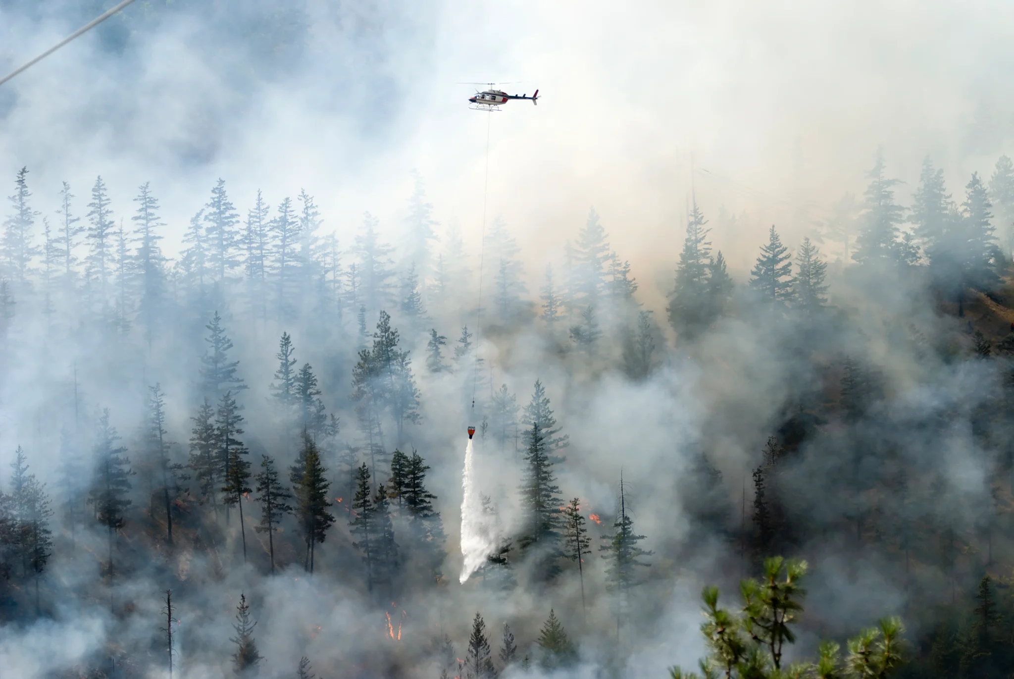 Helicopter waterbombing on a forest fire fighting climate changes leading to deforestation due to weather.