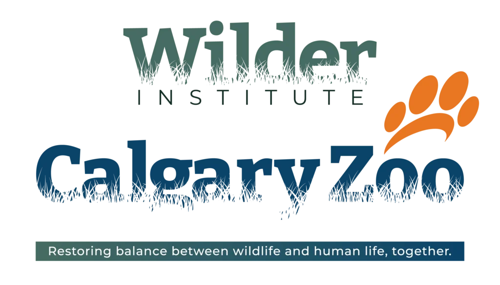 Logo that reads Wilder Institute, Calgary Zoo and the bottom has a text line reading Restoring Balance between wildlife and human life, together.